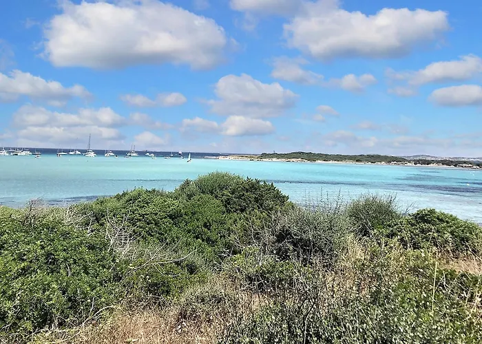 à Porto-vecchio Avec Piscine Partagée, 43 M² Apartamento *
