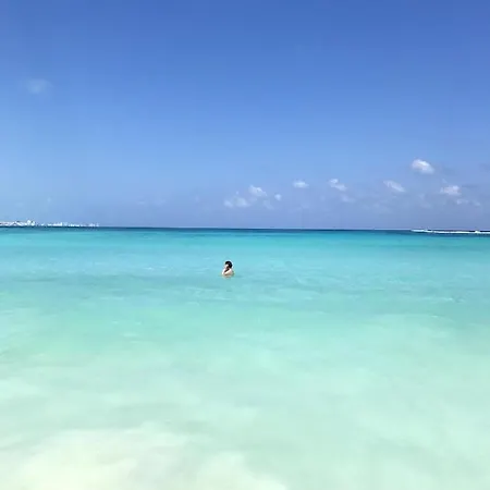 A Vecchio Avec Piscine Partagee 43 M² 아파트 *