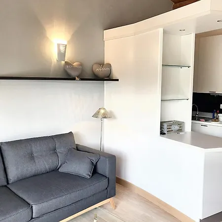 A Vecchio Avec Piscine Partagee 43 M²
