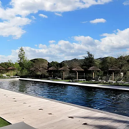 A Vecchio Avec Piscine Partagee 43 M² *