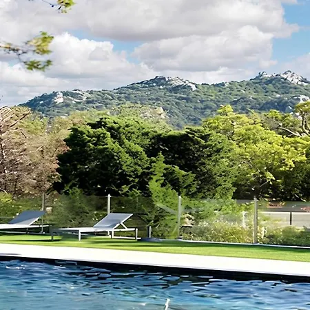 à Porto-vecchio Avec Piscine Partagée, 43 M² Apartamento *