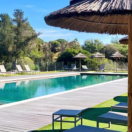 à Porto-vecchio Avec Piscine Partagée, 43 M² * Porto Vecchio